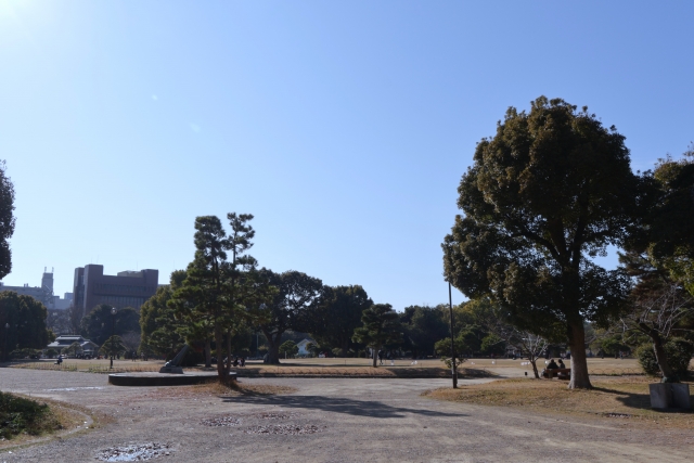 A wide open park field with trees under a clear blue sky, with city buildings in the distance