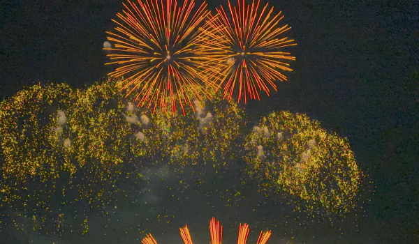 Orange fireworks with sparkling golden trails in the night sky