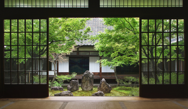 A Japanese garden view from a traditional ryokan room, with greenery and stone arrangements