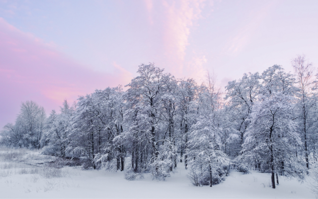 hyogo-winter-scenery
