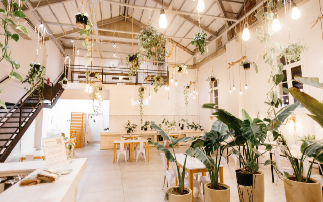 A bright cafe interior with hanging plants and tables