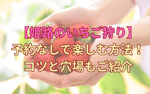 himeji-strawberry-picking-no-booking