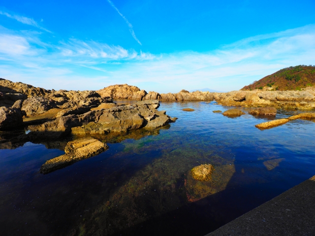 淡路島の岩場の磯と透き通った潮だまりが広がる海岸の風景