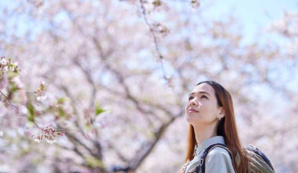桜を見上げる女性
