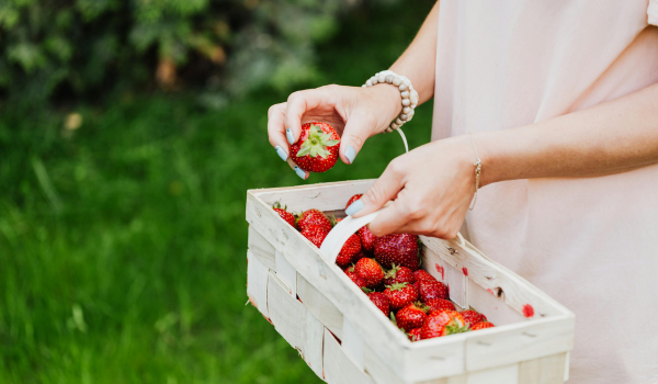 イチゴが入った入れ物