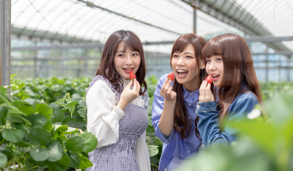 兵庫の電車で行けるイチゴ狩り農園で楽しむ女性たち