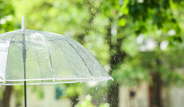 雨の日に傘をさす