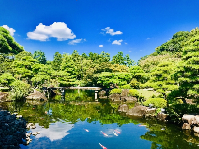 好古園の庭