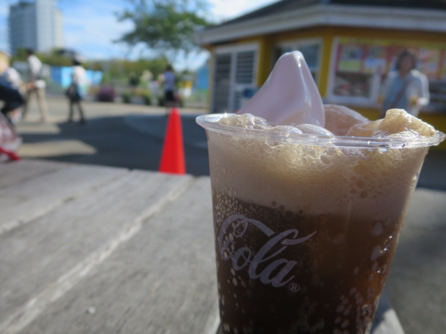 東条湖おもちゃ王国かき氷コーラフロート