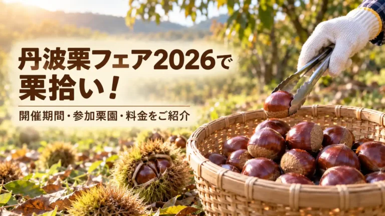 丹波栗フェア2026で栗拾い！